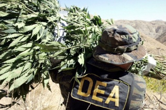 DEA